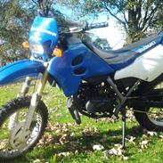 Suzuki Smx (Tidl.Scooter)