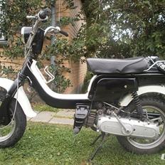 Suzuki Fz 50