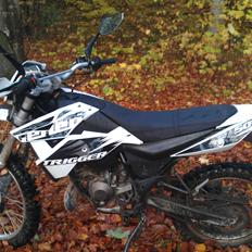 Generic Trigger x 50 (solgt) 