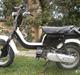 Suzuki Fz 50