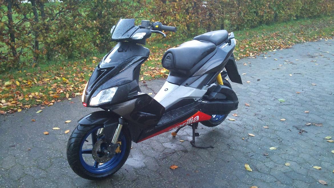 Aprilia SR50 factory billede 1