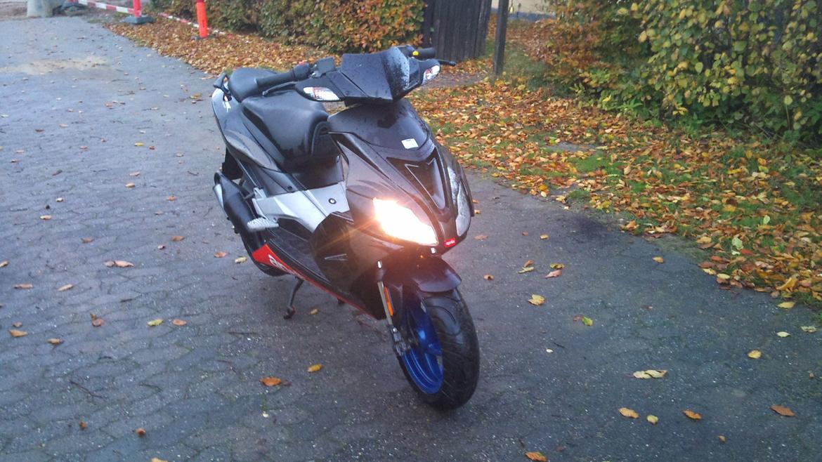 Aprilia SR50 factory billede 2