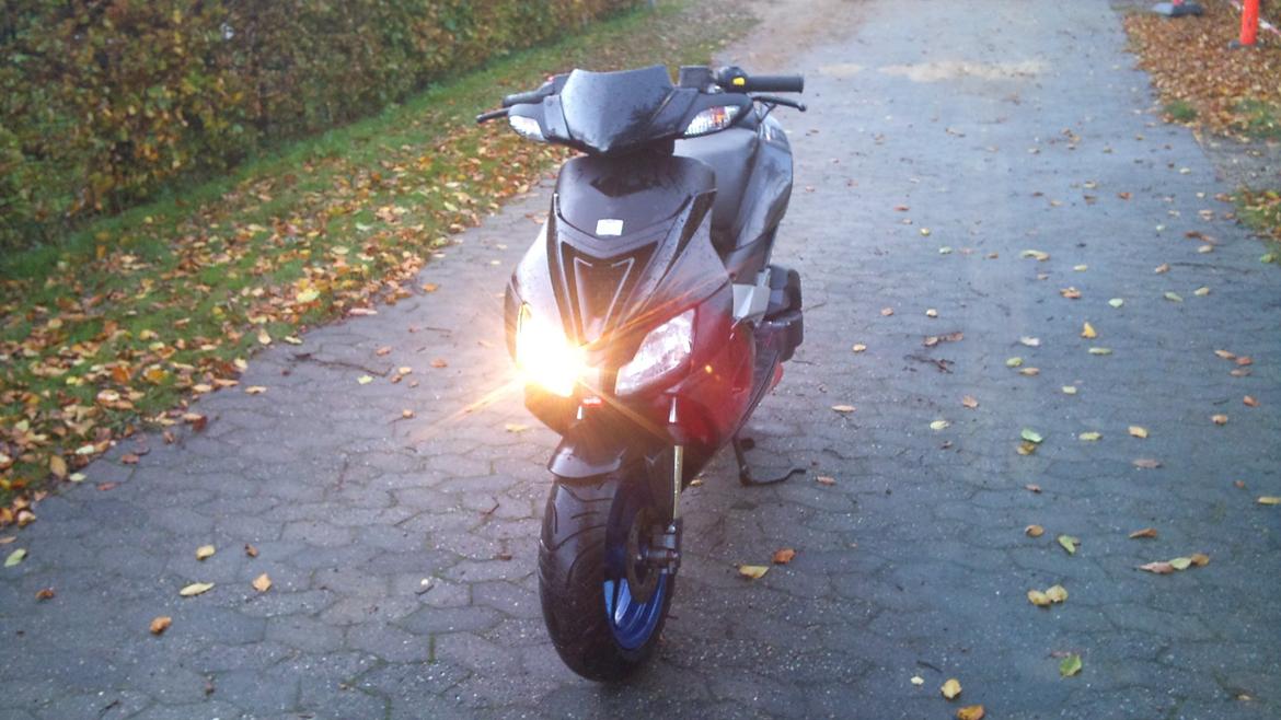 Aprilia SR50 factory billede 4