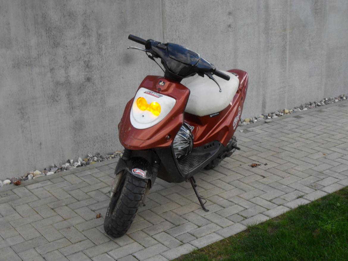 PGO HOT 50 - FØR billede 2