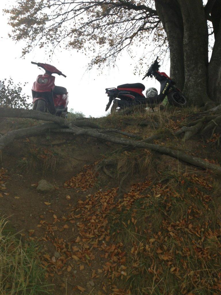 PGO hot 50 billede 6