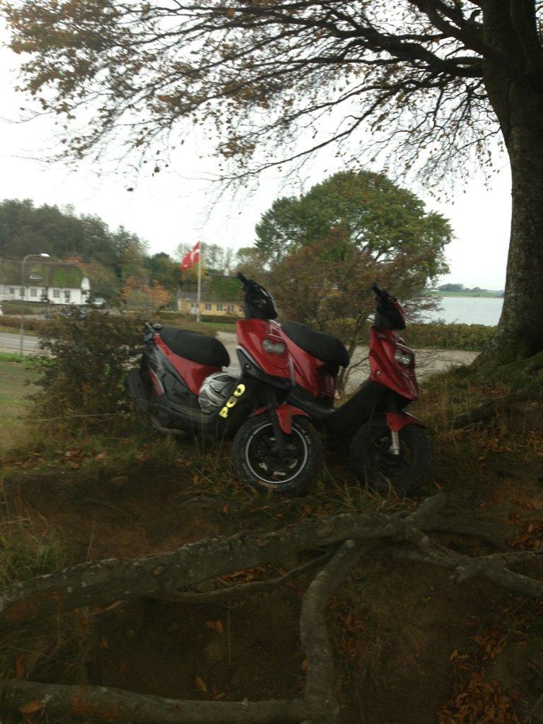 PGO hot 50 billede 7