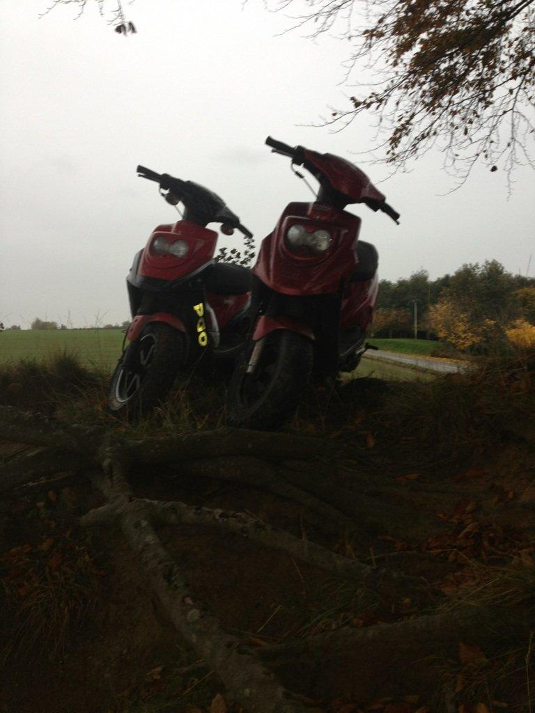 PGO hot 50 billede 8