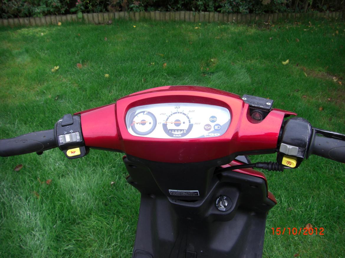 PGO Hot 50 "Rød toppen" billede 6