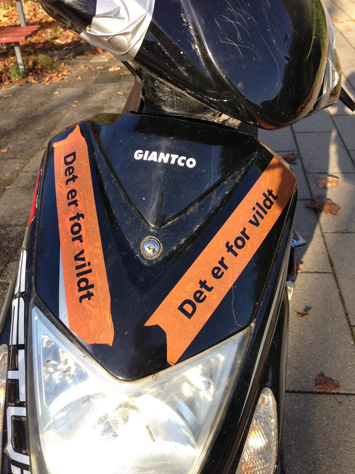 Giantco G-buddy/Stealth billede 9