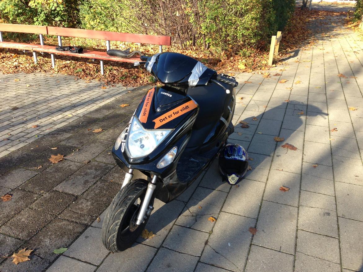 Giantco G-buddy/Stealth billede 15