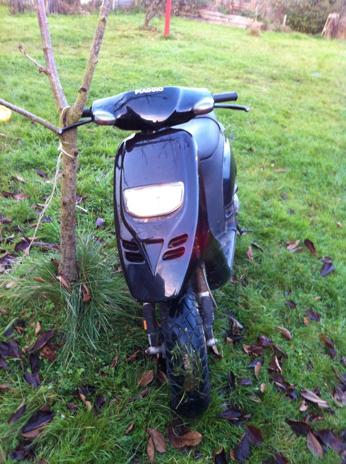 Piaggio Typhoon billede 1