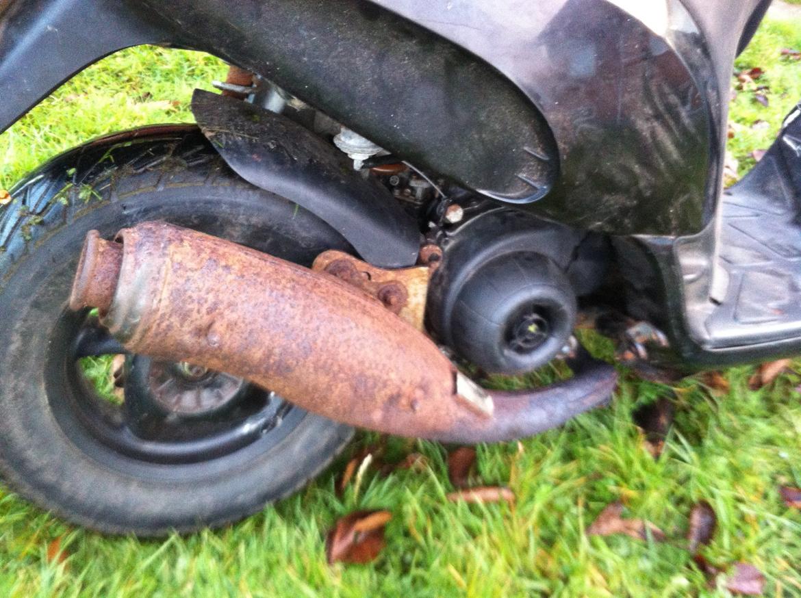 Piaggio Typhoon billede 7