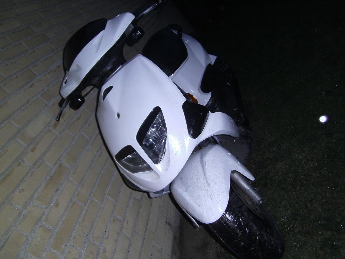 PGO Dr Big billede 5