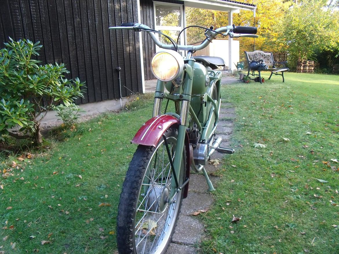 Sco Minor billede 14