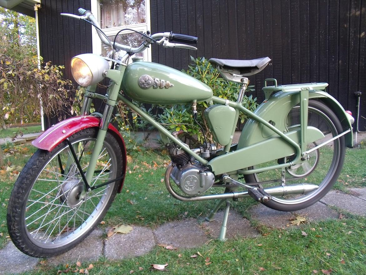 Sco Minor billede 15