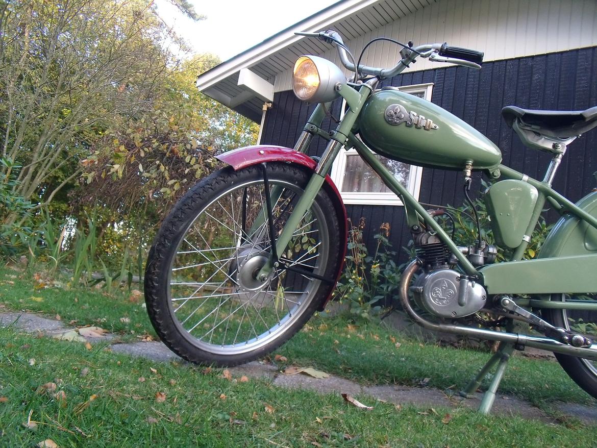 Sco Minor billede 16