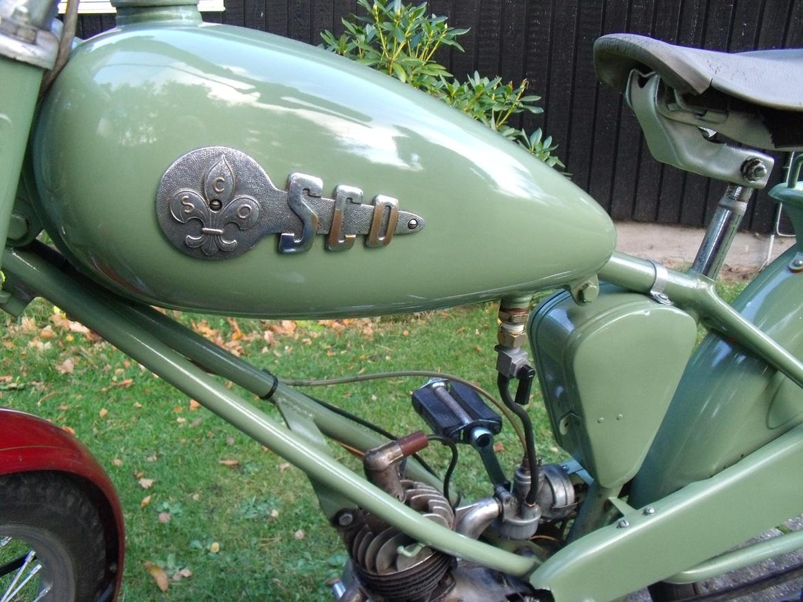 Sco Minor billede 17