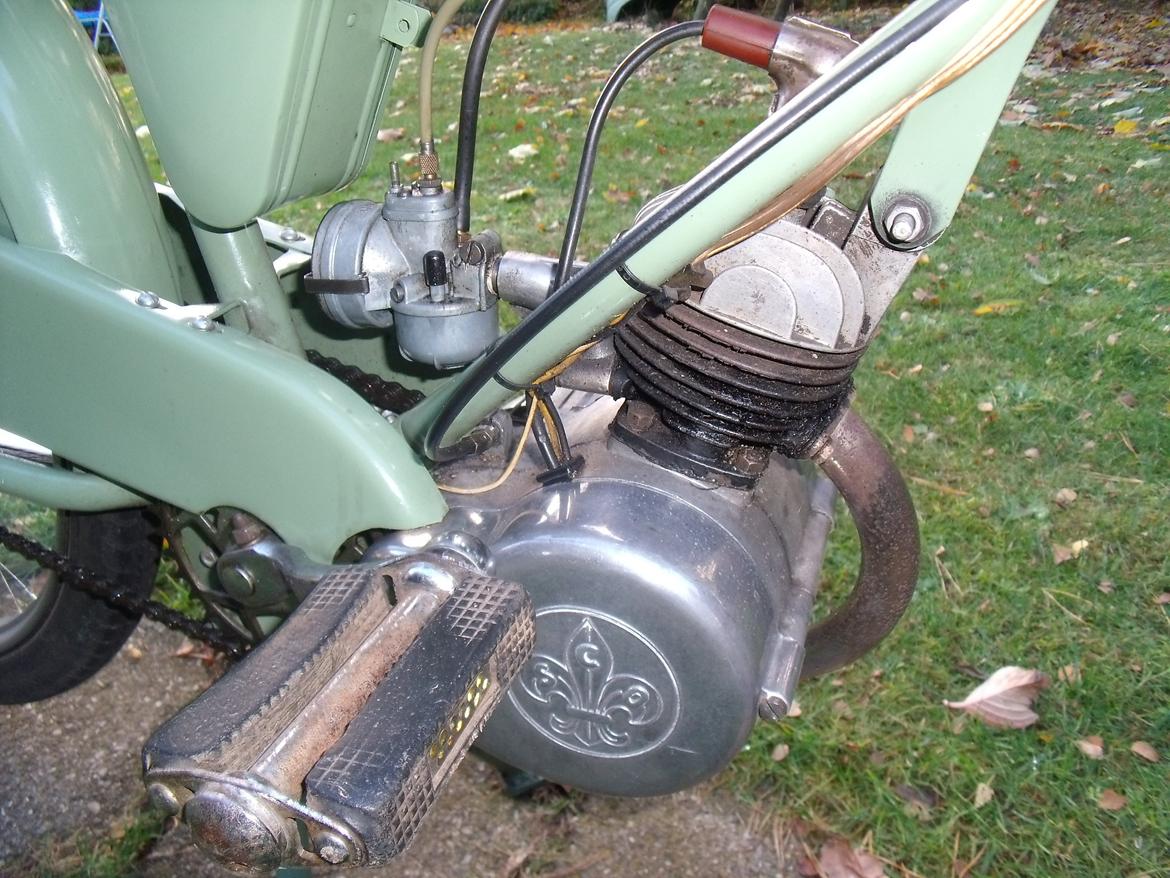 Sco Minor billede 19