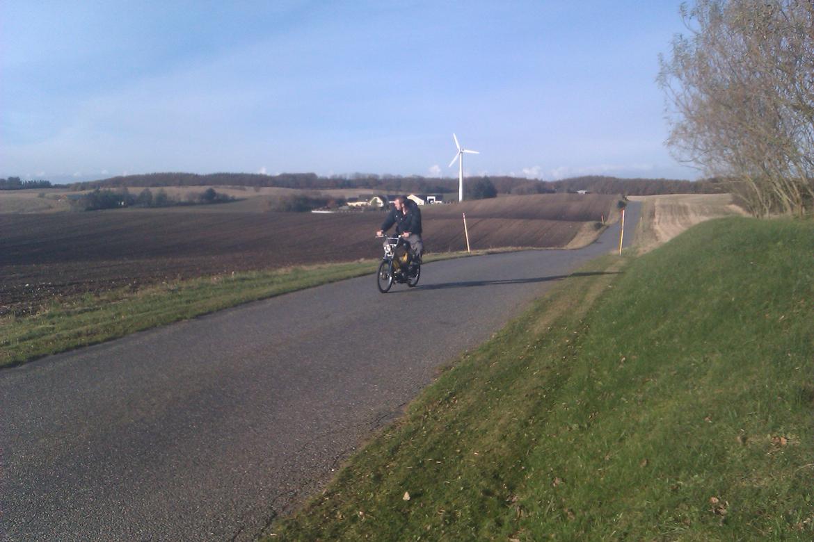 Puch maxi Kl (projekt) billede 18