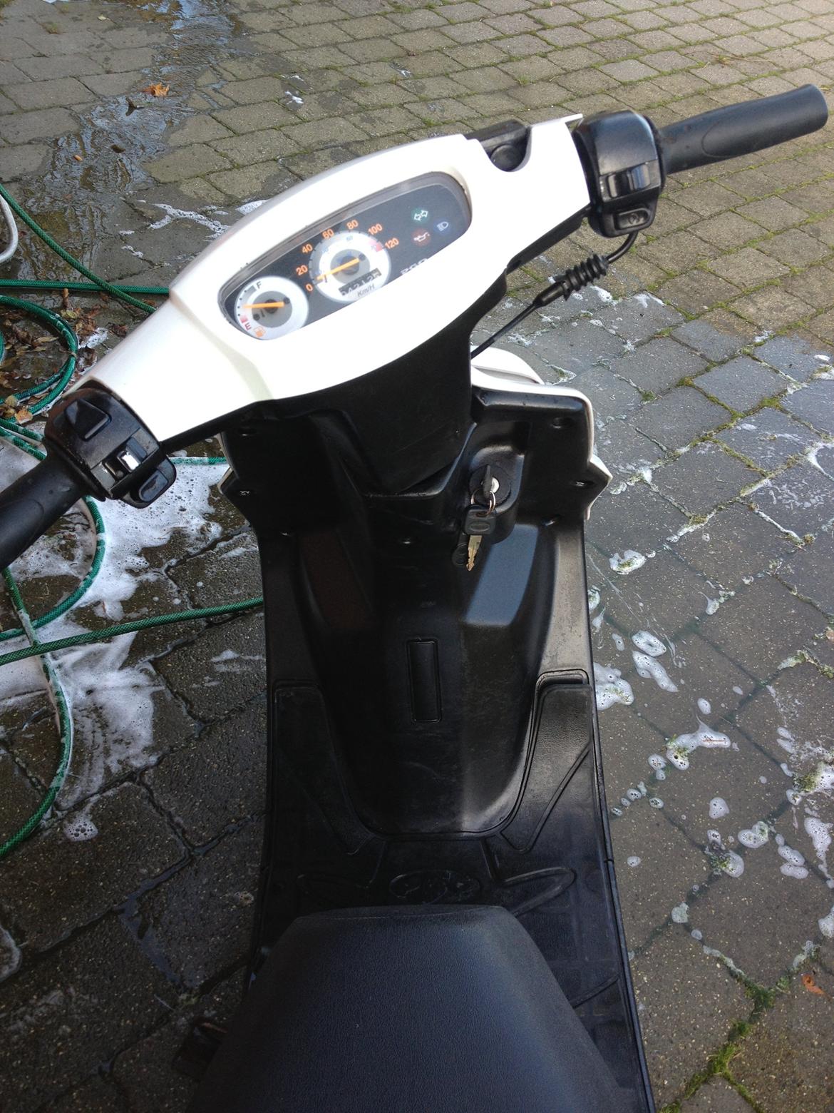 PGO Hot50 billede 10