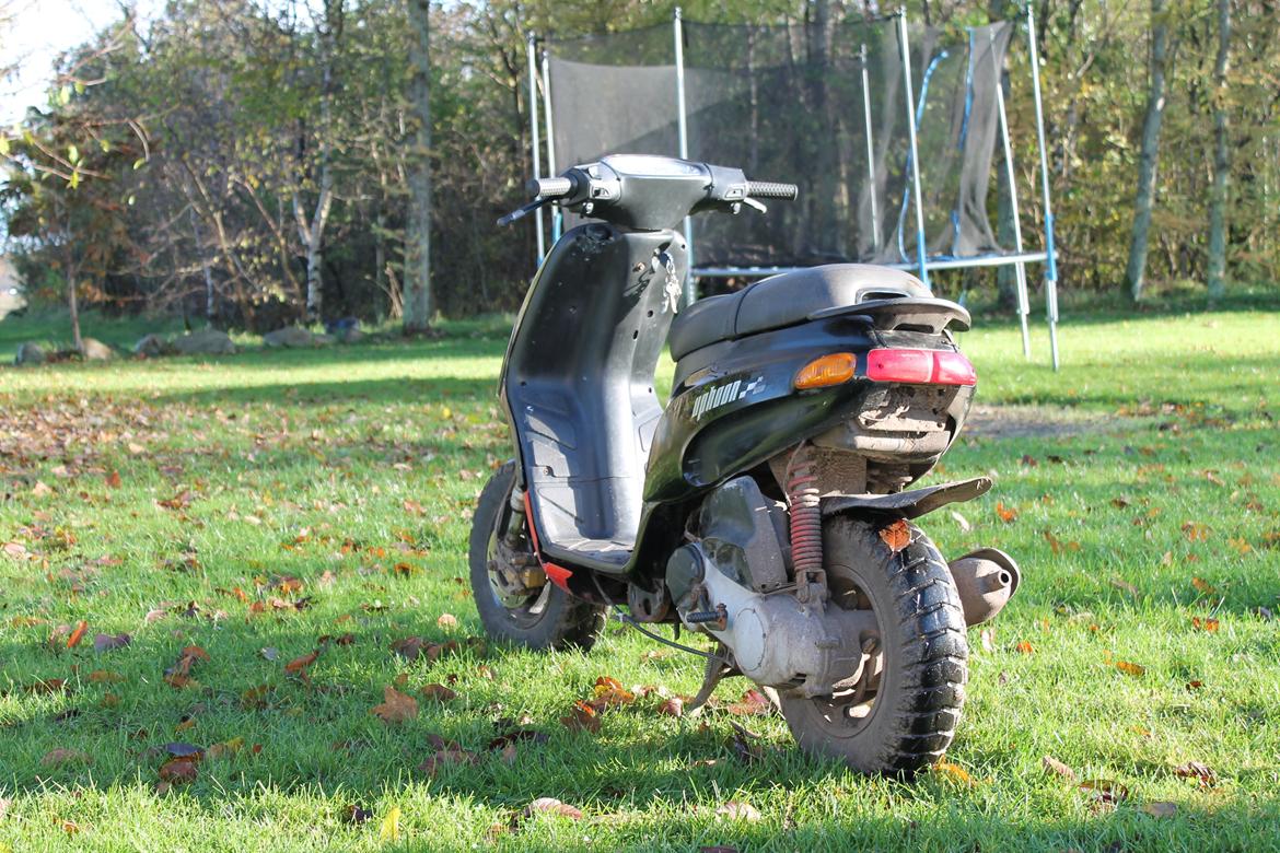 Piaggio Typhoon billede 1