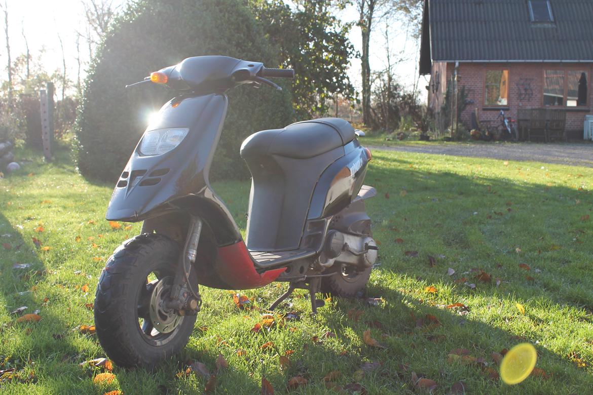 Piaggio Typhoon billede 2