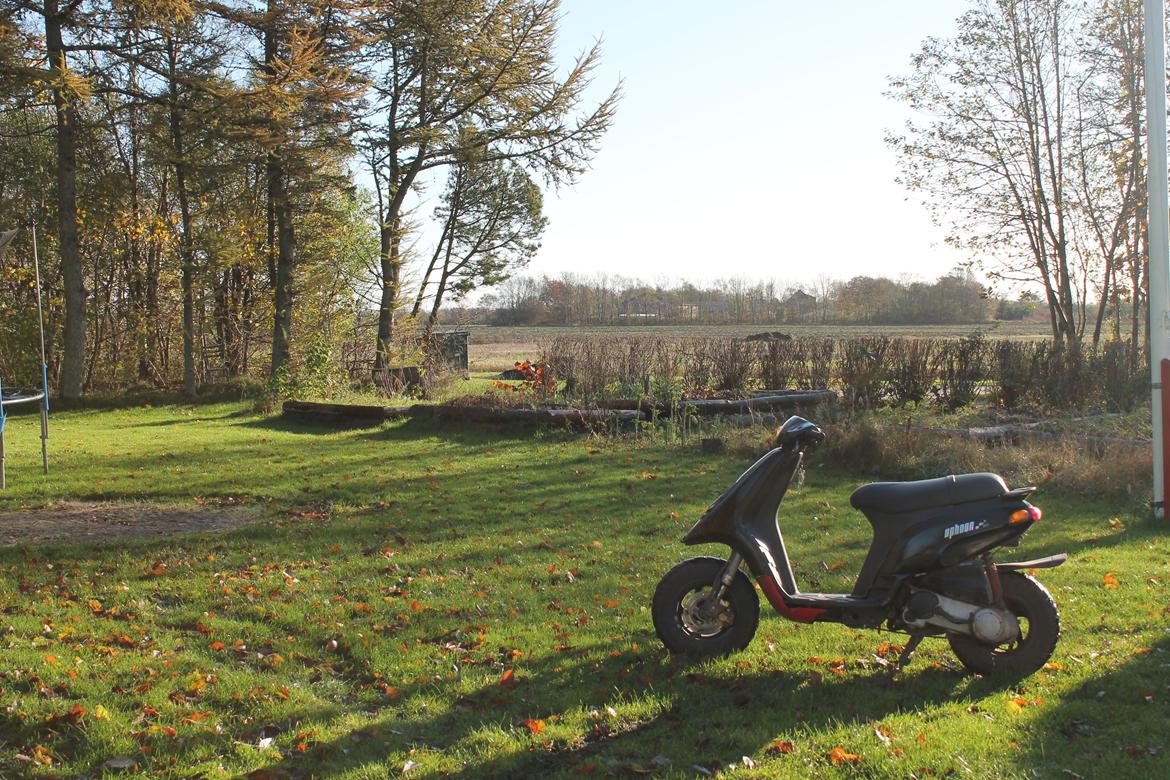 Piaggio Typhoon billede 8