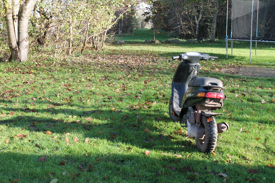 Piaggio Typhoon billede 9