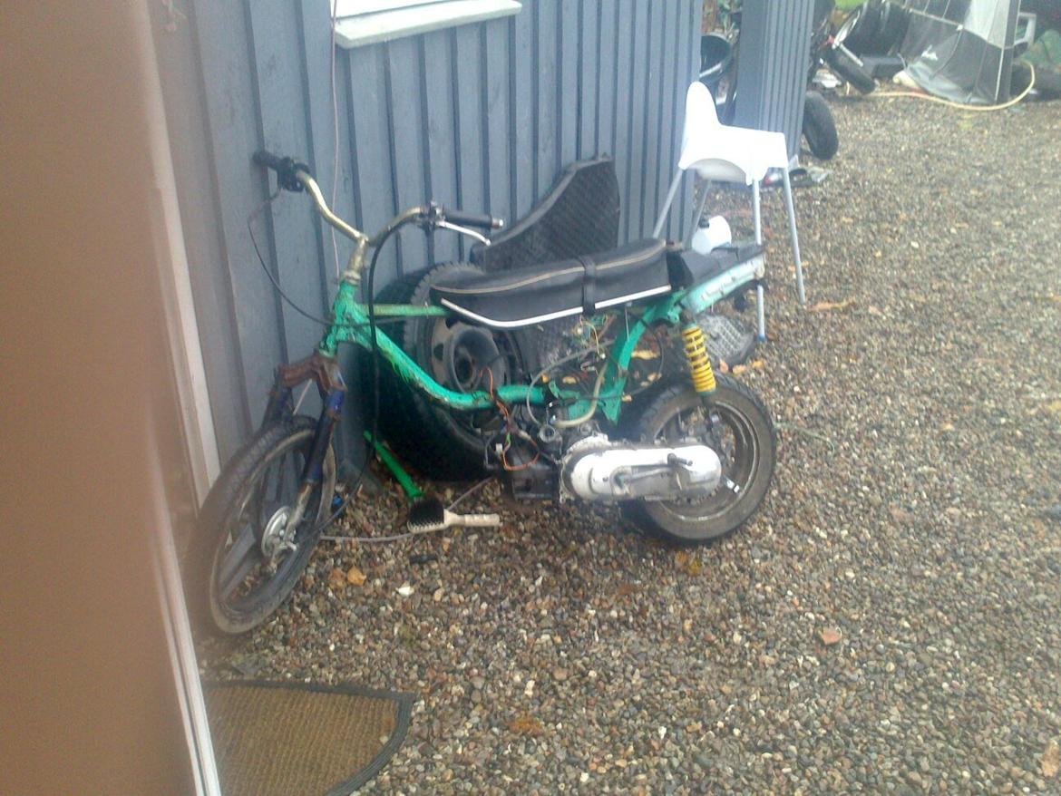 Honda popparoo billede 1