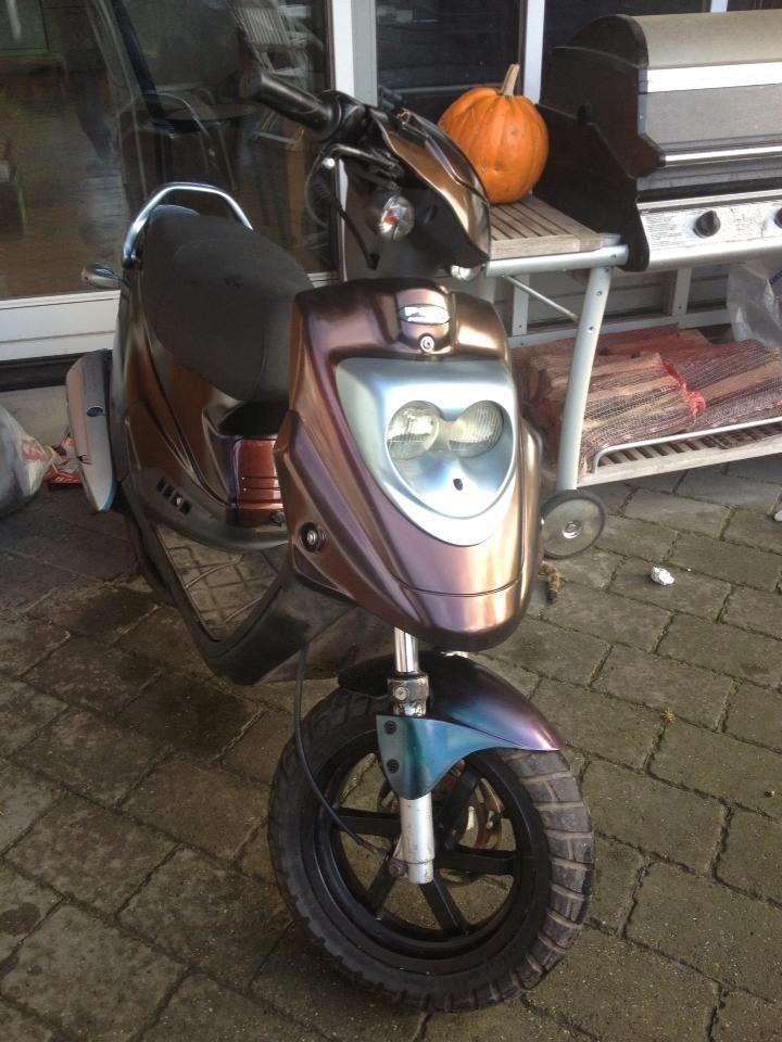 PGO Hot50 (Isabella) billede 4