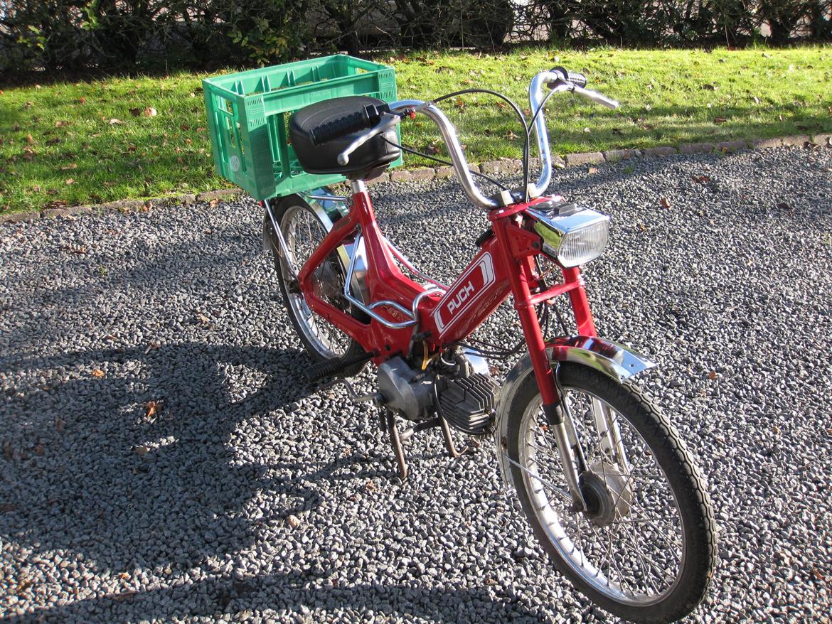 Puch Maxi k billede 17
