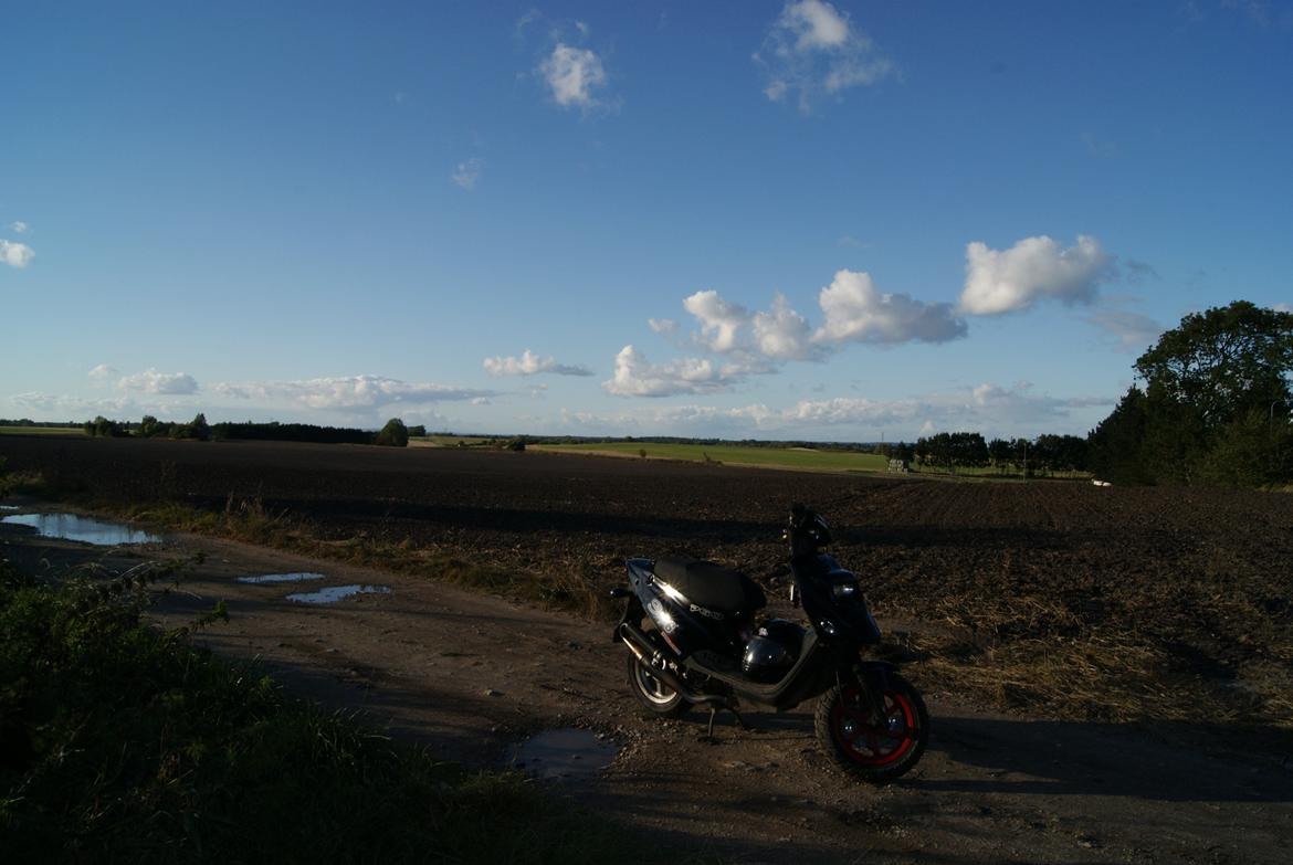 PGO Hot 50 billede 5