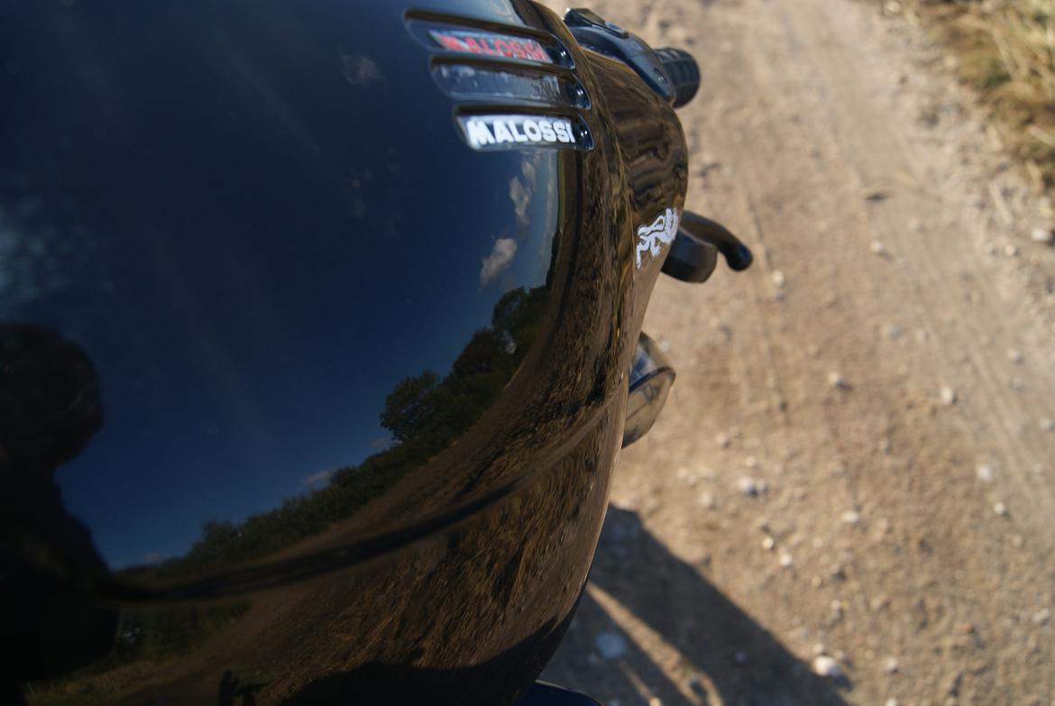 PGO Hot 50 billede 6