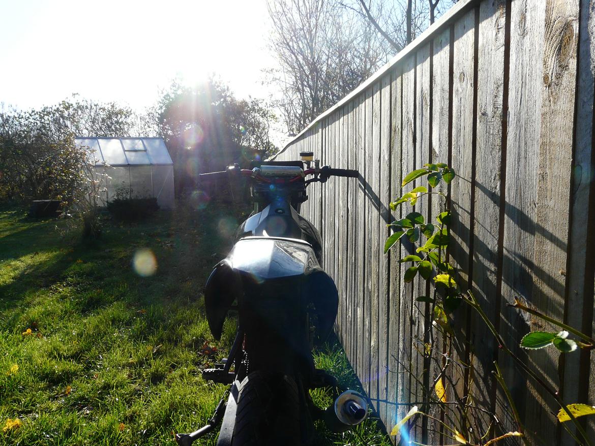 Derbi Senda X-treme tilsalg billede 7