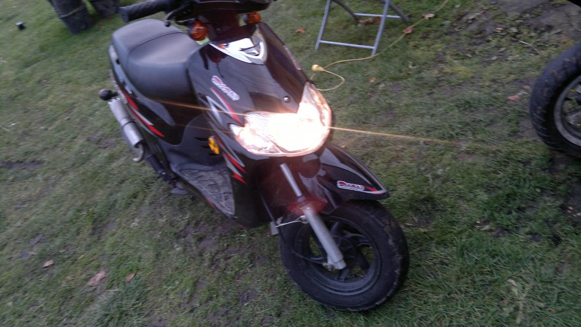 Leone Swan billede 4