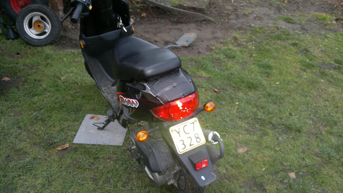 Leone Swan billede 6