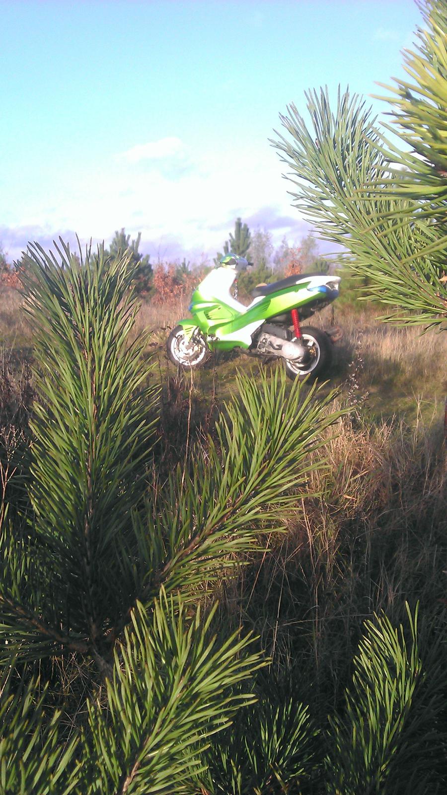 Gilera runner billede 3