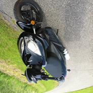 Giantco Stealth *Svansen*