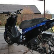 PGO Hot 50 12" 6 eger