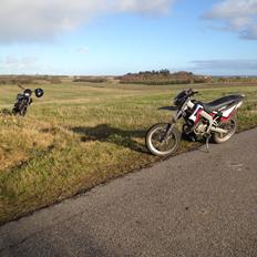 Gilera SMT