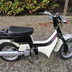 Suzuki Fz50