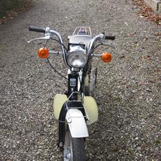 Suzuki Fz50