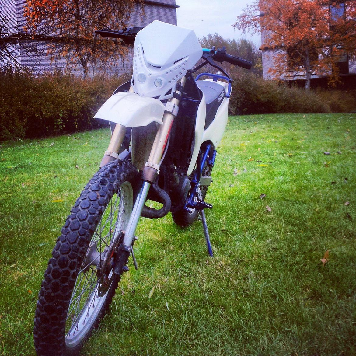 Suzuki RMX billede 5