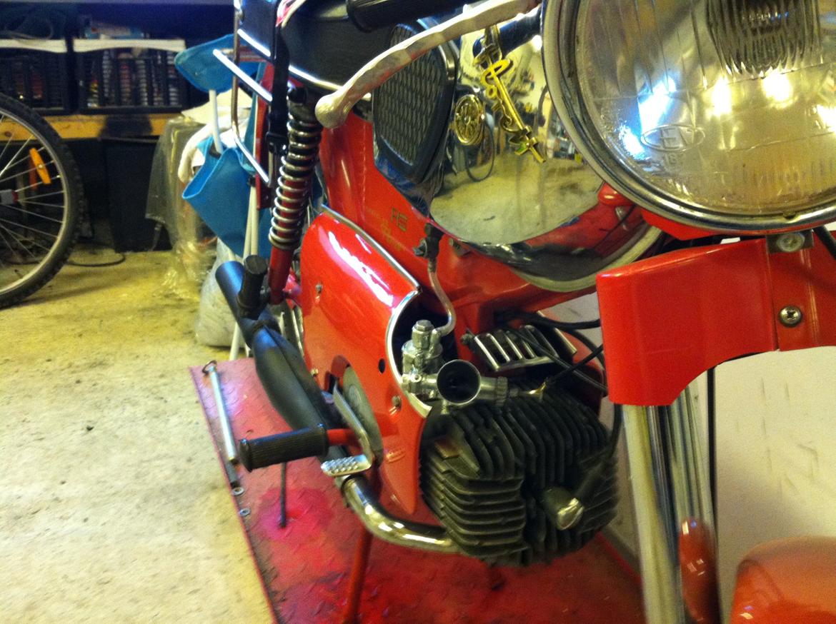 Kreidler RS - spiser div insekter...  billede 12