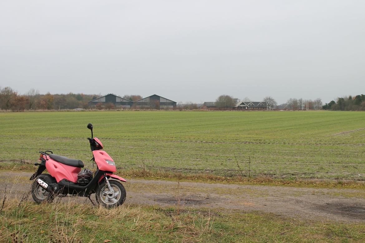 CPI Popcorn - Pinky billede 1