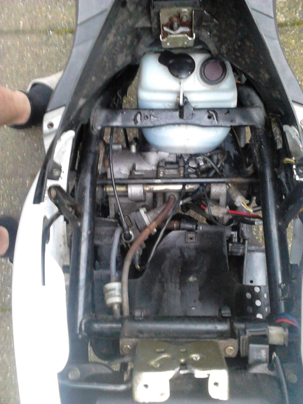 PGO pmx sport billede 18