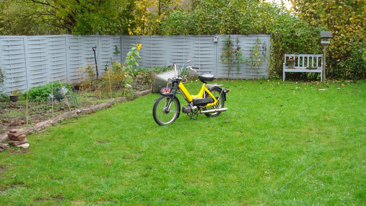 Puch maxi k billede 11