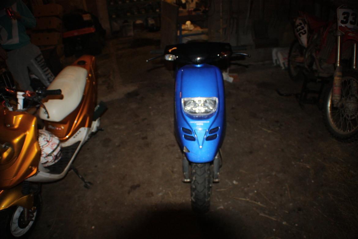 Piaggio Typhoon 'æ tyffe' billede 2