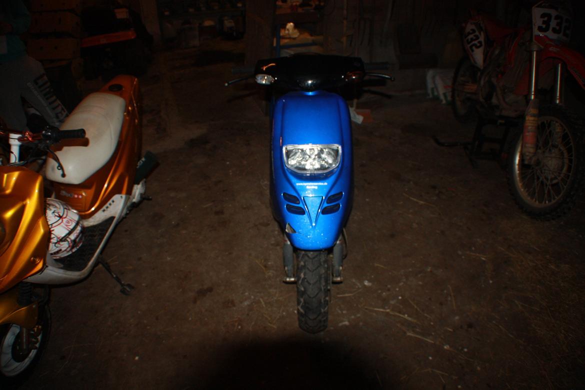 Piaggio Typhoon 'æ tyffe' billede 4