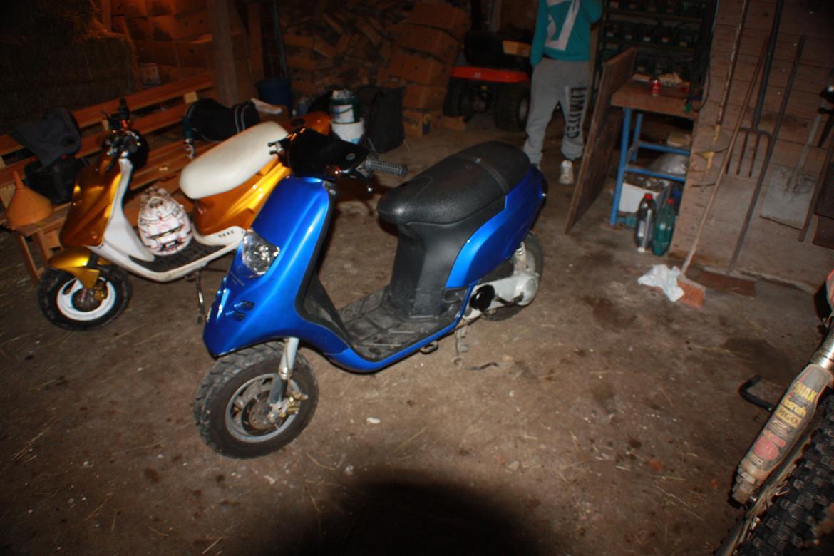 Piaggio Typhoon 'æ tyffe' billede 5